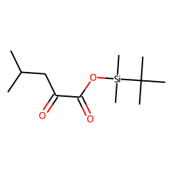 4-Methyl-2-oxovaleric acid, tert-butyldimethylsilyl ester