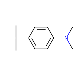 N,N-Dimethyl-4-t-butylbenzeneamine