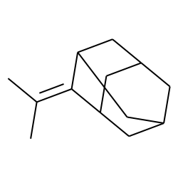 2-isopropylideneadamantane