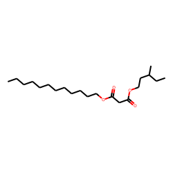 Malonic acid, dodecyl 3-methylpentyl ester