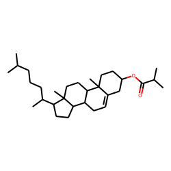 Cholesteryl isobutyrate