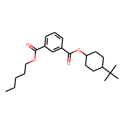 Isophthalic acid, pentyl 4-tert-butylcyclohexyl ester