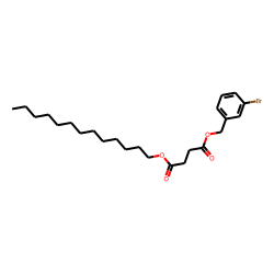 Succinic acid, 3-bromobenzyl tridecyl ester