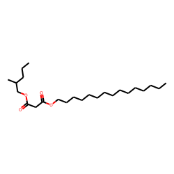 Malonic acid, 2-methylpentyl pentadecyl ester