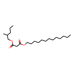 Malonic acid, 2-methylpentyl tridecyl ester