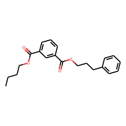 Isophthalic acid, butyl 3-phenylpropyl ester