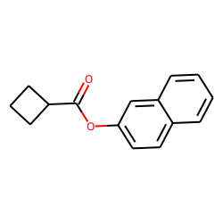 Cyclobutanecarboxylic acid, 2-naphthyl ester