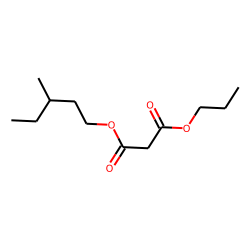 Malonic acid, 3-methylpentyl propyl ester