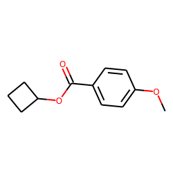 p-Anisic acid, cyclobutyl ester