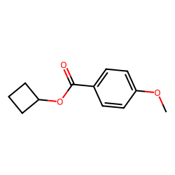 p-anisic acid, cyclobutyl ester