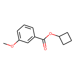 m-Anisic acid, cyclobutyl ester