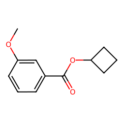 m-anisic acid, cyclobutyl ester
