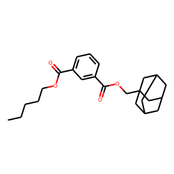 Isophthalic acid, 1-adamantylmethyl pentyl ester