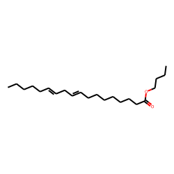 butyl (Z,Z)-9,12-octadecadienoate