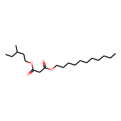 Malonic acid, 3-methylpentyl undecyl ester