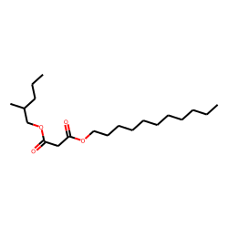 Malonic acid, 2-methylpentyl undecyl ester