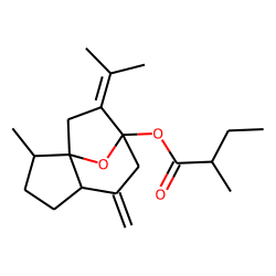 (Z)-«gamma»-Curcumyl 2-methylbutanoate