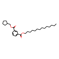 Isophthalic acid, cyclopentylmethyl tetradecyl ester