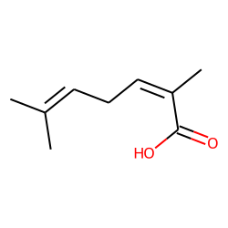 (2E)-2,6-dimethyl-2,5-heptadienoic acid