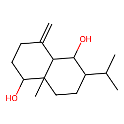 PLATAMBIN