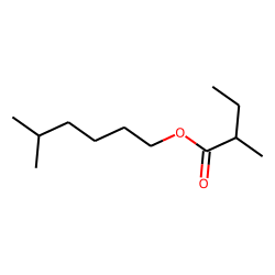 5-Methylhexyl 2-methylbutanoate
