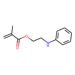 Phenylaminoethyl methacrylate