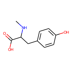 N-methyl tyrosine