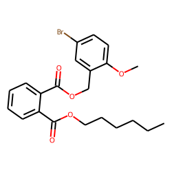 Phthalic acid, 5-bromo-2-methoxybenzyl hexyl ester
