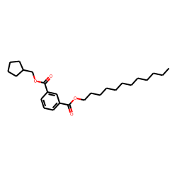 Isophthalic acid, cyclopentylmethyl dodecyl ester