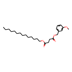Succinic acid, 3-methoxybenzyl tetradecyl ester
