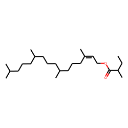 Phytyl, 2-methylbutanoate