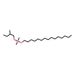 Silane, dimethyl(2-methylbutoxy)pentadecyloxy-