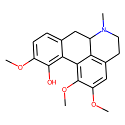 Isocorydine