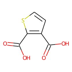 2,3-Thiophenedicarboxylic acid
