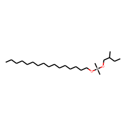 Silane, dimethyl(2-methylbutoxy)hexadecyloxy-