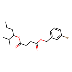 Succinic acid, 3-bromobenzyl 2-methylhex-3-yl ester