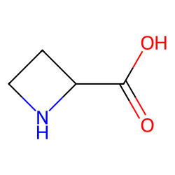 2-AZETIDINECARBOXYLIC ACID