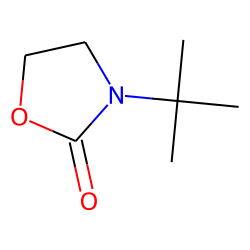 3-tert-Butyl-2-oxo-1,3-oxazolidine
