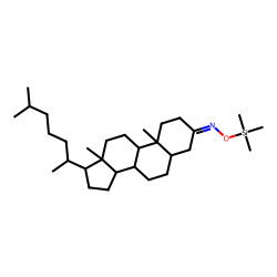 5-«beta»-Cholestan-3-one, oxime, TMS # 2