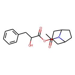 N-Acetyl norlittorine