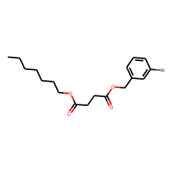 Succinic acid, 3-bromobenzyl heptyl ester