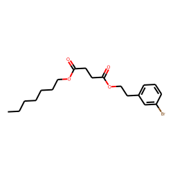 Succinic acid, 3-bromophenethyl heptyl ester